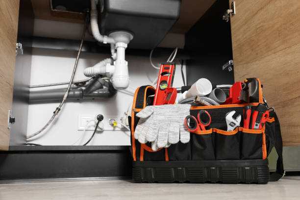 Best Commercial Plumbing Services  in Alpine, CA