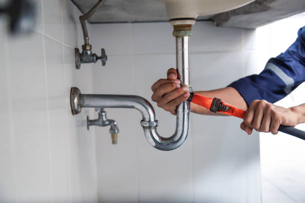 Best Septic Systems  in Alpine, CA