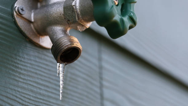 Best Septic Systems  in Alpine, CA