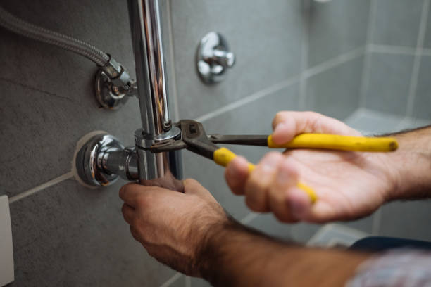 Best Drain Cleaning Services  in Alpine, CA