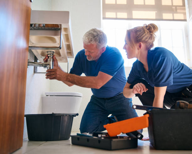 Best Plumbing Inspection Services  in Alpine, CA